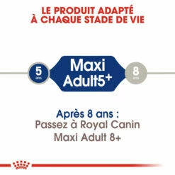 Royal Canin Maxi Adult 5+ Pour Chien 4kg -Promos VetoStore Boutique royal canin maxi adult croquettes pour chien maxi adult 2