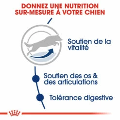 Royal Canin Maxi Adult 5+ Pour Chien 4kg -Promos VetoStore Boutique royal canin maxi adult croquettes pour chien maxi adult 3