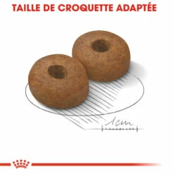 Royal Canin Maxi Ageing 8+ Pour Chien 15kg 11 Royal Canin Maxi Ageing 8+ Pour Chien 15kg -Promos VetoStore Boutique royal canin maxi ageing croquettes pour chien maxi ageing 2