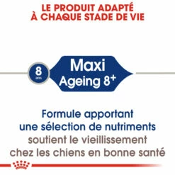 Royal Canin Maxi Ageing 8+ Pour Chien 15kg 12 Royal Canin Maxi Ageing 8+ Pour Chien 15kg -Promos VetoStore Boutique royal canin maxi ageing croquettes pour chien maxi ageing 3