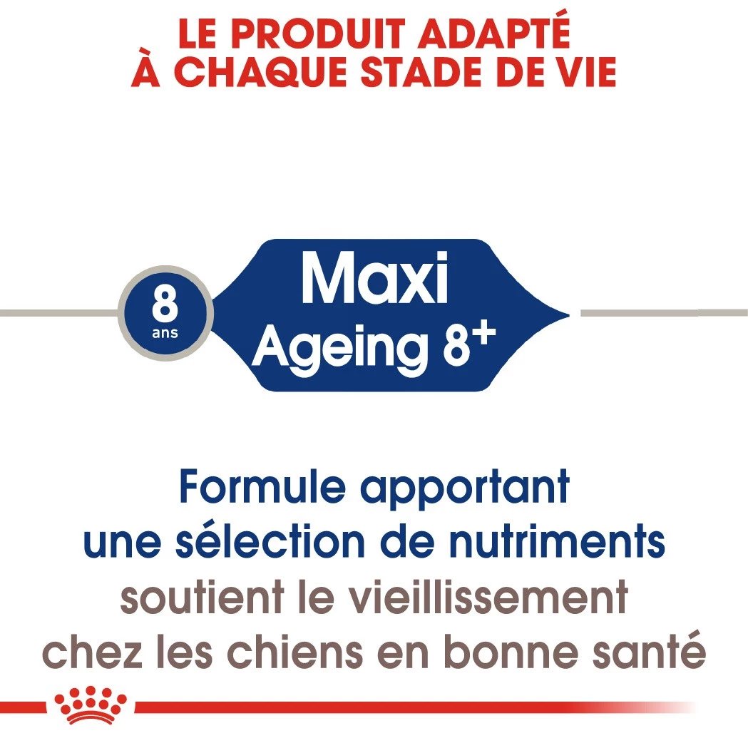 Royal Canin Maxi Ageing 8+ Pour Chien 15kg 7 Royal Canin Maxi Ageing 8+ Pour Chien 15kg – Image 5