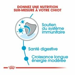 Royal Canin Maxi Chiot Pour Chien 4kg 6 Royal Canin Maxi Chiot Pour Chien 4kg -Promos VetoStore Boutique royal canin maxi puppy croquettes pour chiot maxi puppy 1 1