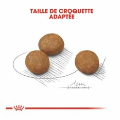 Royal Canin Maxi Chiot Pour Chien 15kg -Promos VetoStore Boutique royal canin maxi puppy croquettes pour chiot maxi puppy 3 2