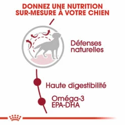 Royal Canin Medium Adult Pour Chien 15kg -Promos VetoStore Boutique royal canin medium adult croquettes pour chien medium adult 2