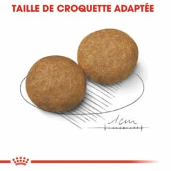 Royal Canin Medium Adult Pour Chien 15kg -Promos VetoStore Boutique royal canin medium adult croquettes pour chien medium adult 3