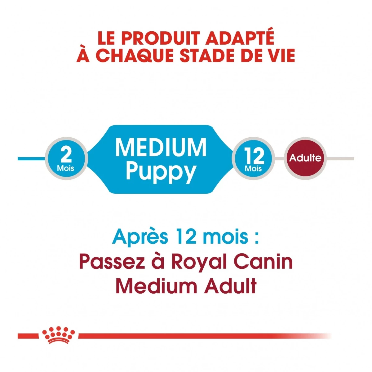 Royal Canin Medium Junior Pour Chien 5 Royal Canin Medium Junior Pour Chien – Image 3