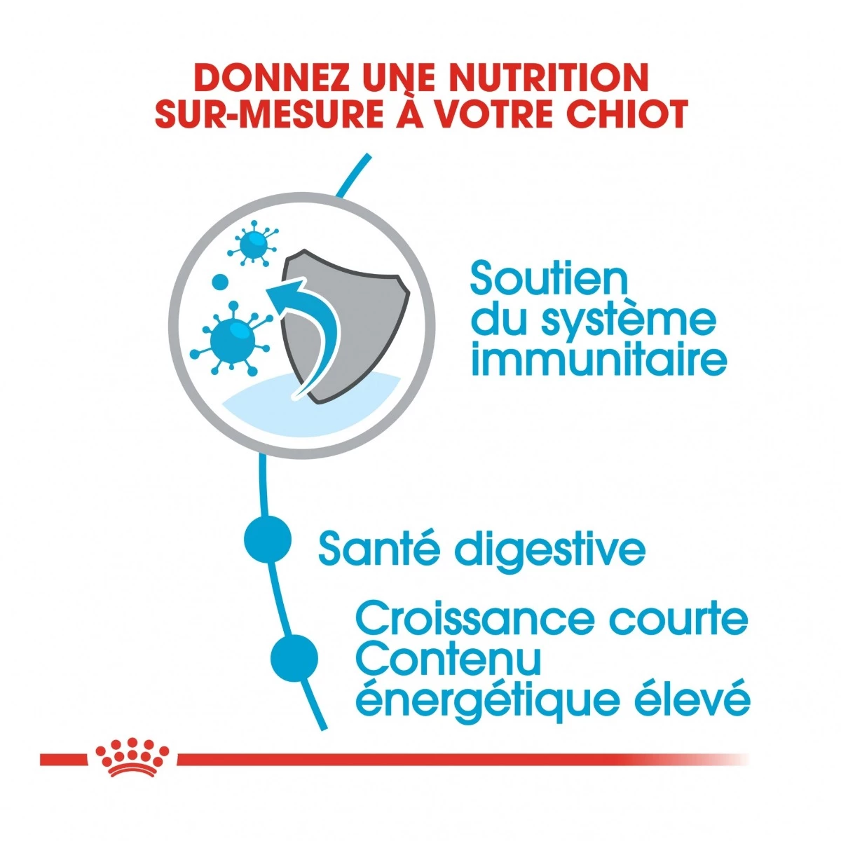 Royal Canin Medium Junior Pour Chien 6 Royal Canin Medium Junior Pour Chien – Image 4