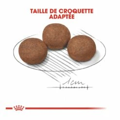 Royal Canin Medium Junior Pour Chien 11 Royal Canin Medium Junior Pour Chien -Promos VetoStore Boutique royal canin medium puppy croquettes pour chiot medium puppy 4 1
