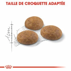 Royal Canin Outdoor Pour Chat 10kg -Promos VetoStore Boutique royal canin outdoor outdoor 2