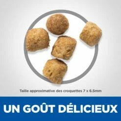 Hill's Science Plan Adult Sterilised Croquettes Et Boîtes Pour Chat Stérilisé -Promos VetoStore Boutique science plan adulte chat sterilisC3A9 croquettes poulet 3 FR 1