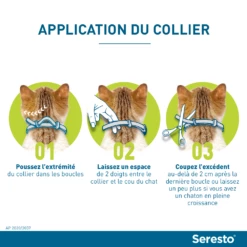 Seresto Collier Chat -Promos VetoStore Boutique seresto application du collier chez le chat