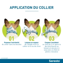 Seresto Collier Chien -Promos VetoStore Boutique seresto application du collier chez le chien
