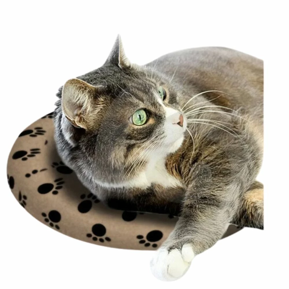 Bouillotte SNUGGLESAFE Pour Animal De Compagnie 5 Bouillotte SNUGGLESAFE Pour Animal De Compagnie – Image 3