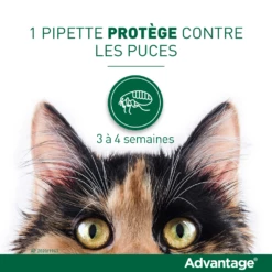 Advantage 40 Chat Et Lapin De 1 à 4 Kg 11 Advantage 40 Chat Et Lapin De 1 à 4 Kg -Promos VetoStore Boutique vignette puces 1